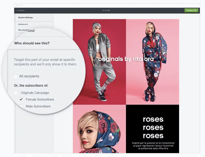 email segmentation