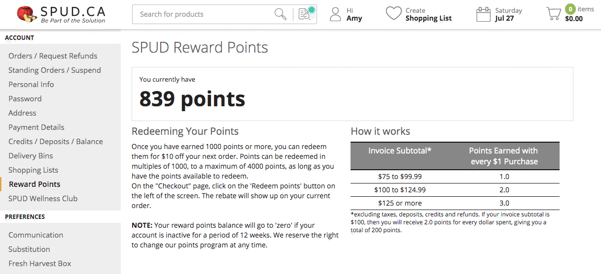 loyalty points program example