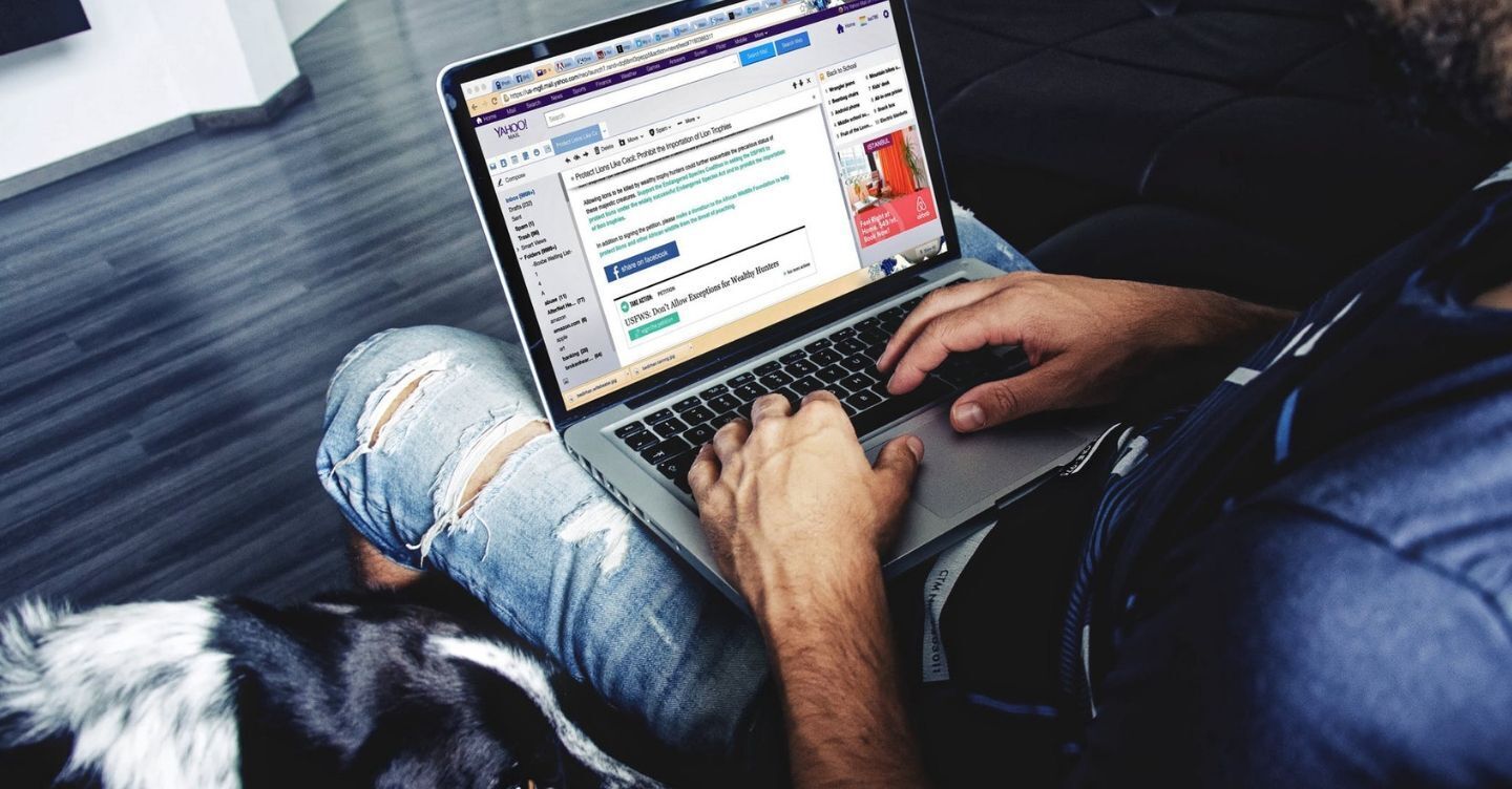 Article featured image