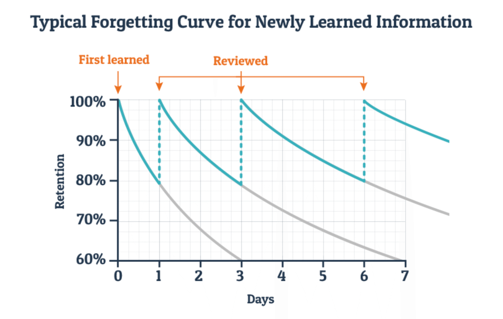 Curve Nation