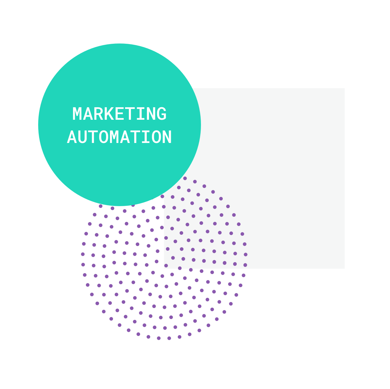 Marketing Automation Tweet Image